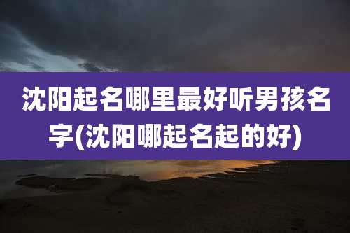 沈阳起名哪里最好听男孩名字(沈阳哪起名起的好)