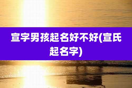 宣字男孩起名好不好(宣氏起名字)