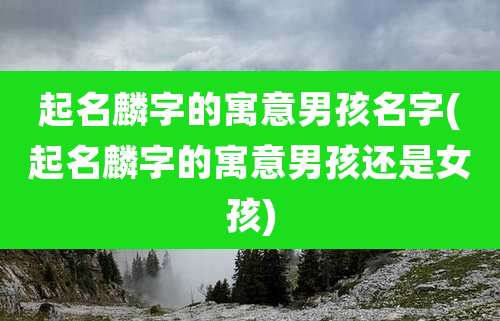 起名麟字的寓意男孩名字(起名麟字的寓意男孩还是女孩)