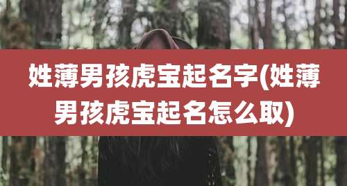 姓薄男孩虎宝起名字(姓薄男孩虎宝起名怎么取)