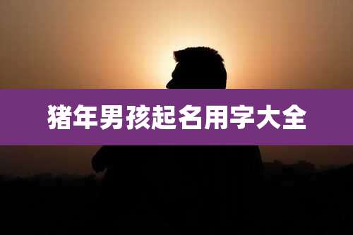 猪年男孩起名用字大全