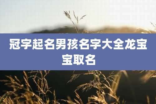 冠字起名男孩名字大全龙宝宝取名