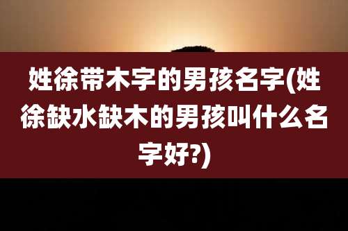姓徐带木字的男孩名字(姓徐缺水缺木的男孩叫什么名字好?)