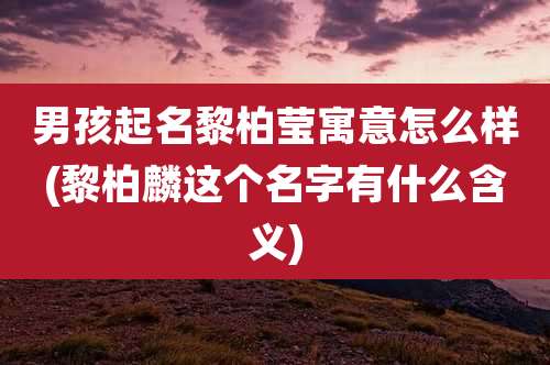 男孩起名黎柏莹寓意怎么样(黎柏麟这个名字有什么含义)
