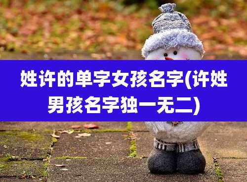 姓许的单字女孩名字(许姓男孩名字独一无二)