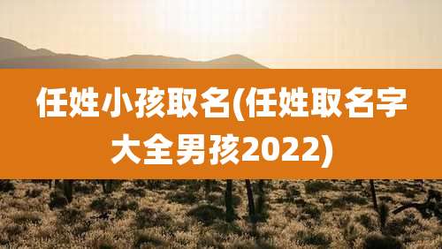 任姓小孩取名(任姓取名字大全男孩2022)