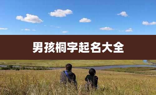 男孩桐字起名大全