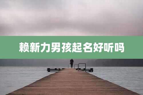 赖新力男孩起名好听吗
