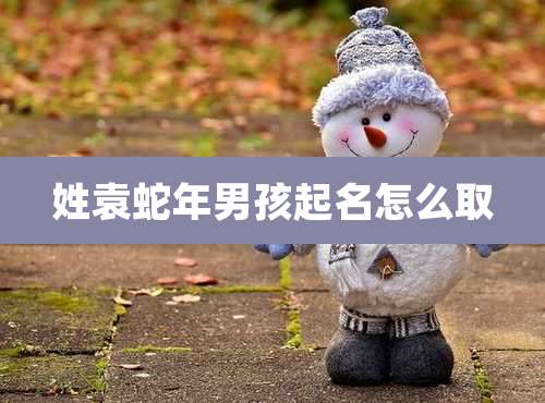 姓袁蛇年男孩起名怎么取