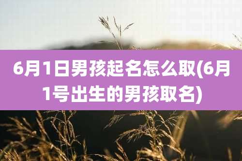 6月1日男孩起名怎么取(6月1号出生的男孩取名)