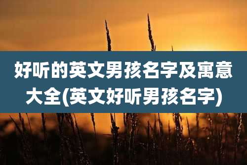 好听的英文男孩名字及寓意大全(英文好听男孩名字)