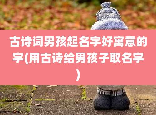 古诗词男孩起名字好寓意的字(用古诗给男孩子取名字)