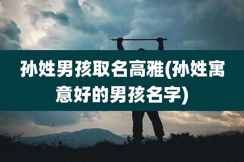 孙姓男孩取名高雅(孙姓寓意好的男孩名字)