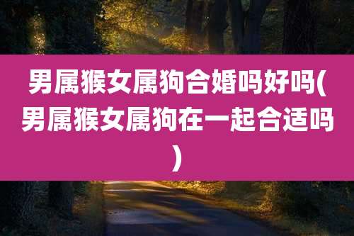 男属猴女属狗合婚吗好吗(男属猴女属狗在一起合适吗)