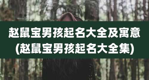 赵鼠宝男孩起名大全及寓意(赵鼠宝男孩起名大全集)