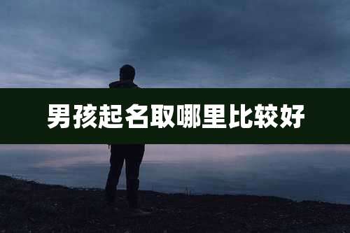 男孩起名取哪里比较好