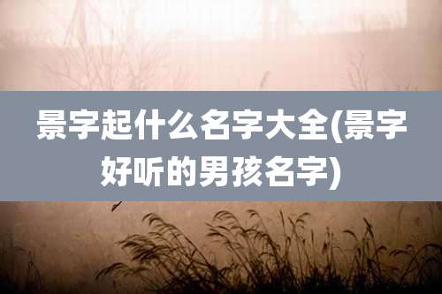 景字起什么名字大全(景字好听的男孩名字)