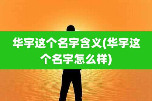 华宇这个名字含义(华宇这个名字怎么样)