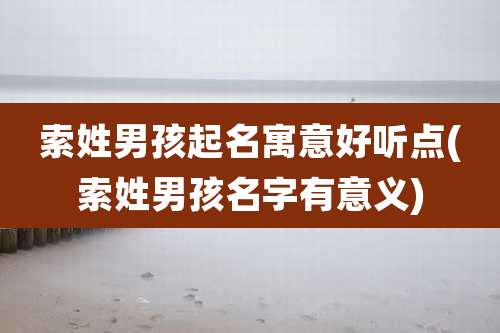 索姓男孩起名寓意好听点(索姓男孩名字有意义)
