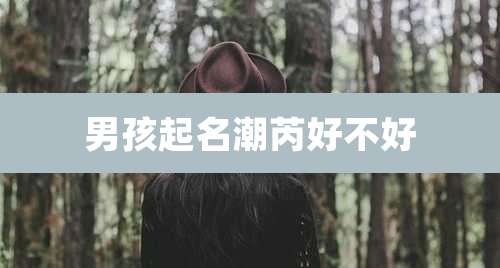 男孩起名潮芮好不好