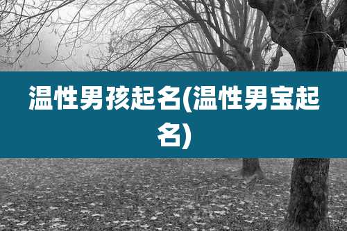 温性男孩起名(温性男宝起名)