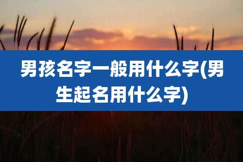 男孩名字一般用什么字(男生起名用什么字)