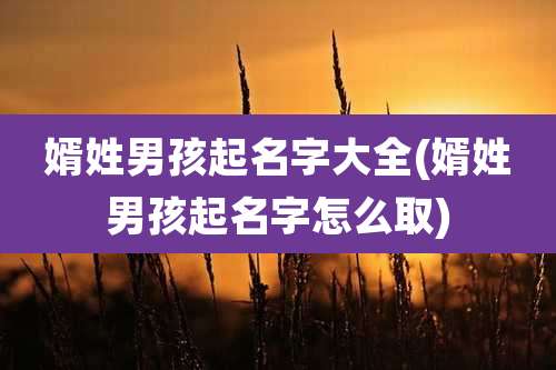 婿姓男孩起名字大全(婿姓男孩起名字怎么取)