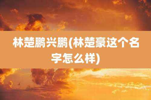 林楚鹏兴鹏(林楚豪这个名字怎么样)