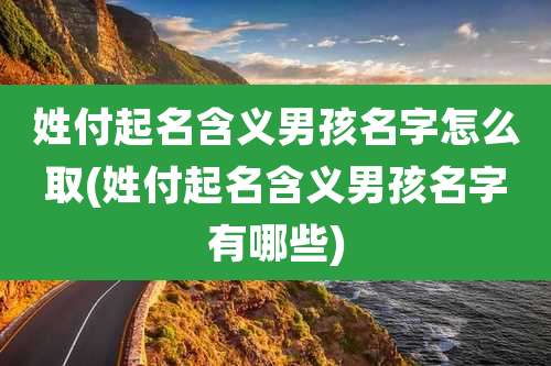姓付起名含义男孩名字怎么取(姓付起名含义男孩名字有哪些)