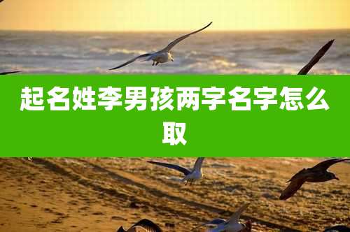 起名姓李男孩两字名字怎么取