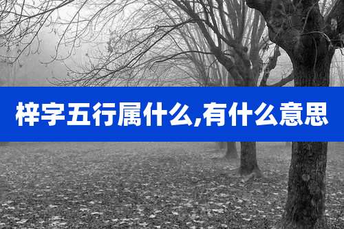 梓字五行属什么,有什么意思