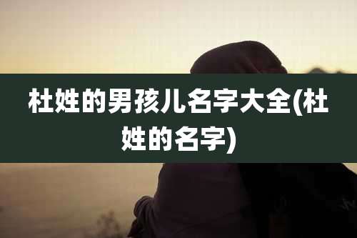 杜姓的男孩儿名字大全(杜姓的名字)