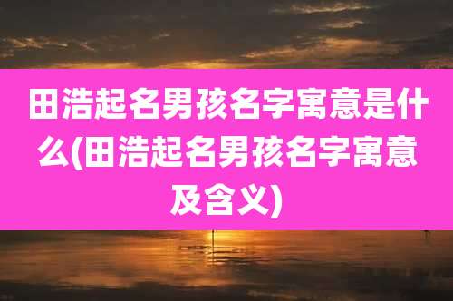 田浩起名男孩名字寓意是什么(田浩起名男孩名字寓意及含义)