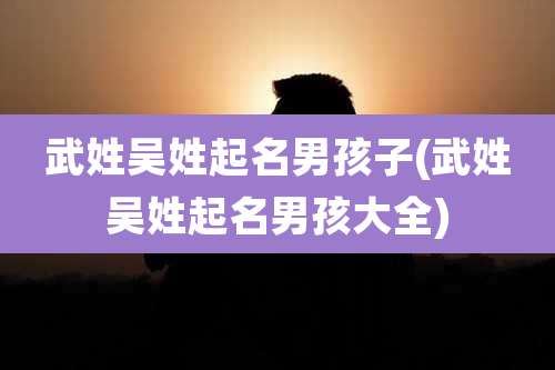 武姓吴姓起名男孩子(武姓吴姓起名男孩大全)