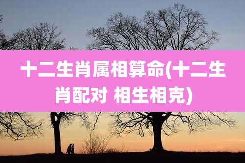 十二生肖属相算命(十二生肖配对 相生相克)