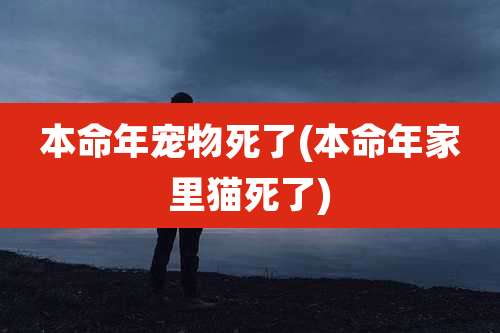 本命年宠物死了(本命年家里猫死了)