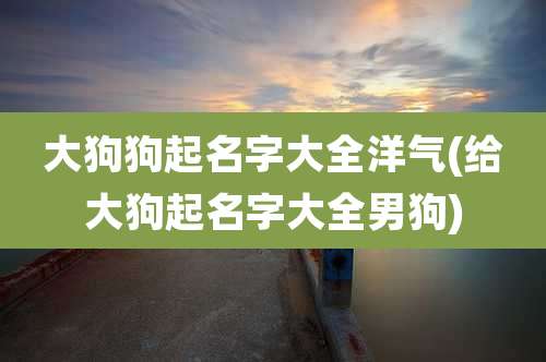 大狗狗起名字大全洋气(给大狗起名字大全男狗)