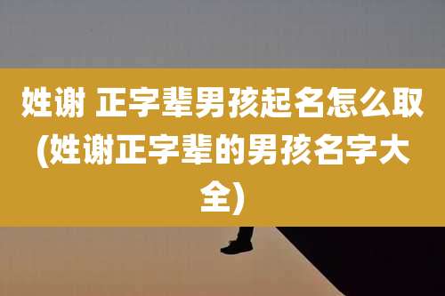 姓谢 正字辈男孩起名怎么取(姓谢正字辈的男孩名字大全)