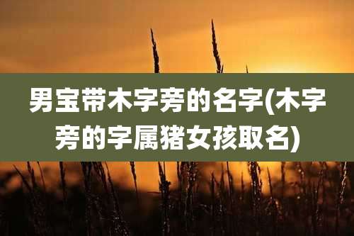 男宝带木字旁的名字(木字旁的字属猪女孩取名)