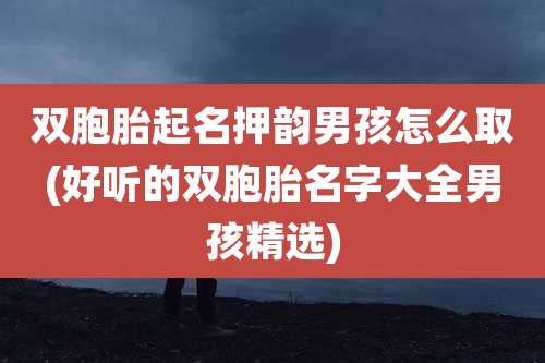 双胞胎起名押韵男孩怎么取(好听的双胞胎名字大全男孩精选)