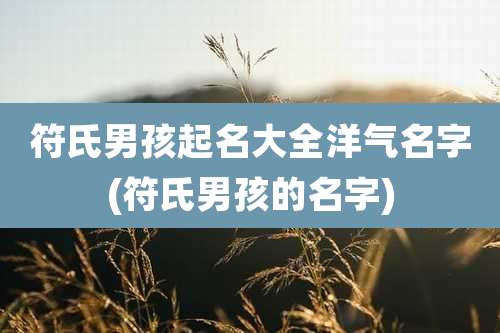 符氏男孩起名大全洋气名字(符氏男孩的名字)