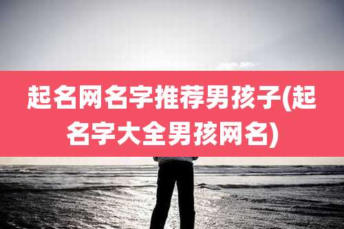 起名网名字推荐男孩子(起名字大全男孩网名)