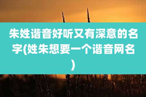 朱姓谐音好听又有深意的名字(姓朱想要一个谐音网名)