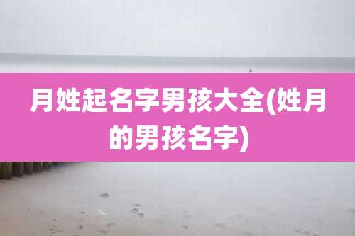 月姓起名字男孩大全(姓月的男孩名字)