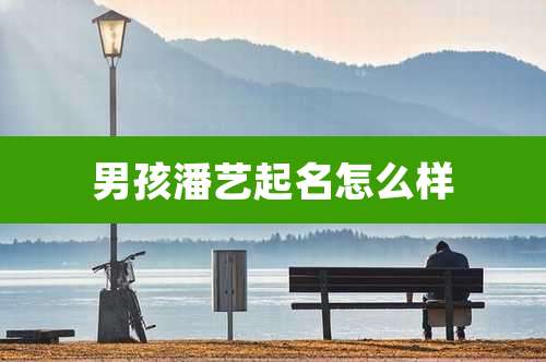 男孩潘艺起名怎么样