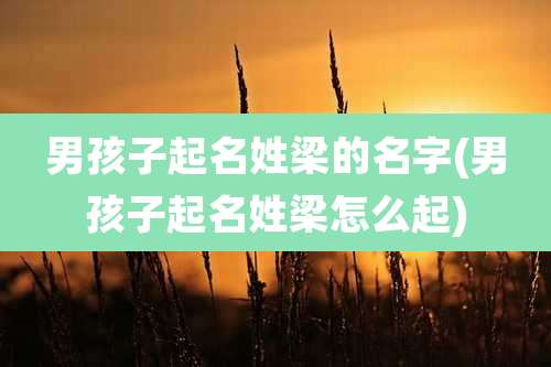 男孩子起名姓梁的名字(男孩子起名姓梁怎么起)