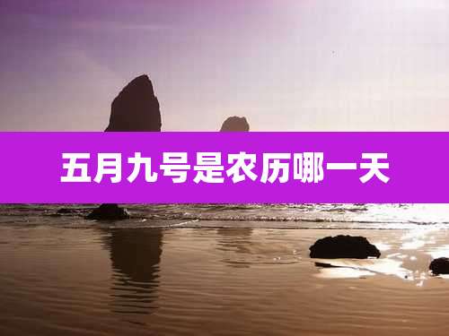 五月九号是农历哪一天