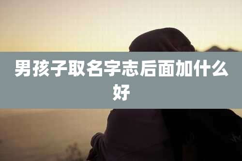 男孩子取名字志后面加什么好