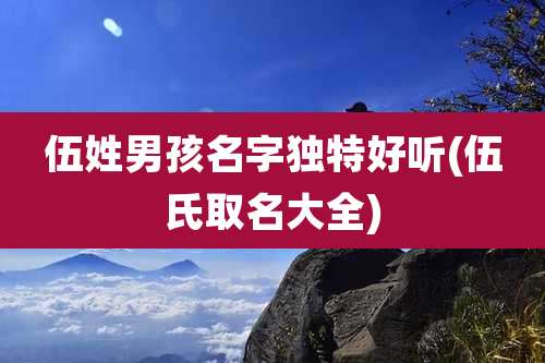 伍姓男孩名字独特好听(伍氏取名大全)