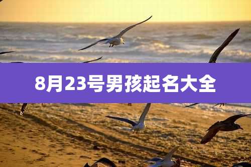 8月23号男孩起名大全